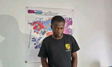 Cidadão Camaronês preso em flagrante na tentativa de obter passaporte guineense.