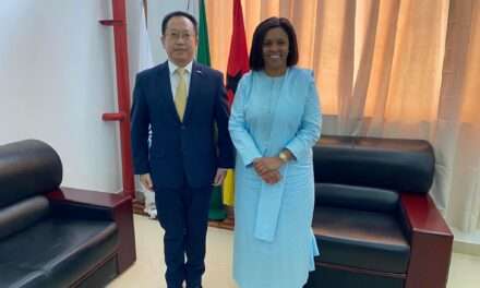 A Ministra de Estado, dos Negócios Estrangeiros recebe Embaixador da China