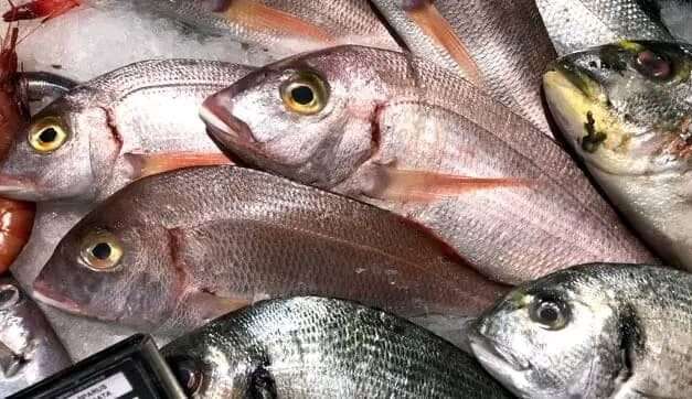 Guineenses podem comprar peixe diretamente do governo