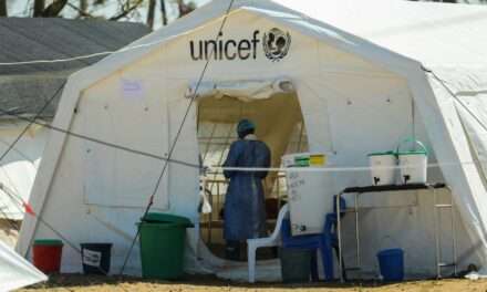 UNICEF alerta para fraude em atribuição de bolsas de estudo na Guiné-Bissau