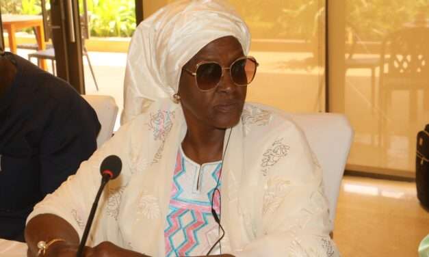Terminam em Niamey, capital do Níger, os trabalhos da Primeira Reunião deslocalizada  do Parlamentos de CEDEAO<br>