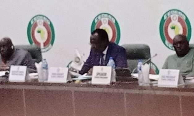 Comissão da CEDEAO garante fornecer a Guiné-Bissau, assistência para eleições legislativas.